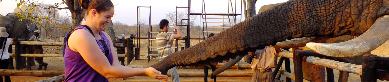 Shelley Hess - Africa Safari Expert